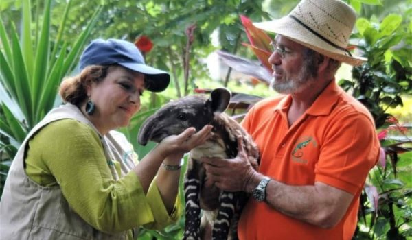 Administradores del Zoológico Nacional se despiden y anuncian cierre de página en Facebook