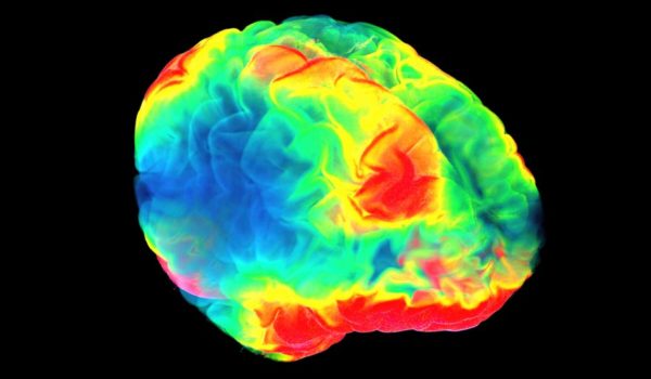 Qué nos enseña la neurociencia sobre el placer (y por qué podemos desear algo que no nos gusta)