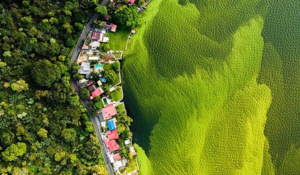 La historia detrás de la foto del lago verde de Guatemala que ganó el equivalente al Oscar de vida silvestre