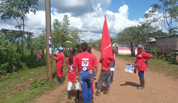 Nicaragüenses pagarán 450 millones al FSLN y partidos zancudos por falsa campaña electoral