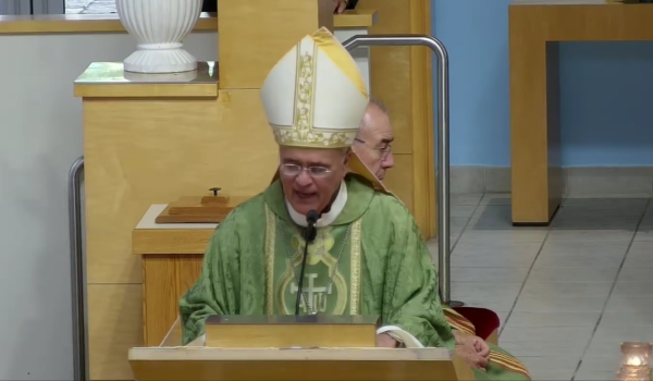 monseñor báez,