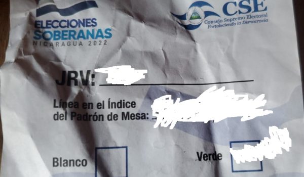 ¿Blanco o verde? El significado de los colores que aparecían en la papeleta que dieron a algunos  votantes y que genera dudas
