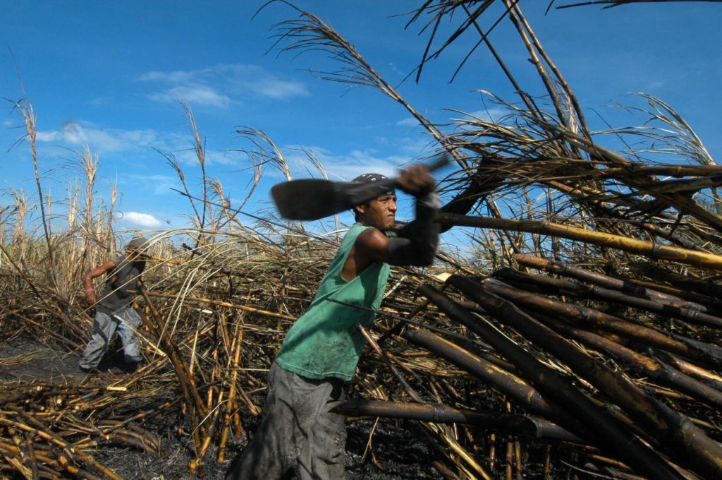 producción de azúcar Nicaragua