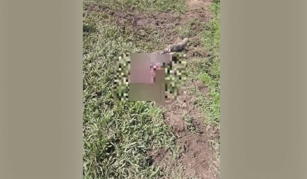 Adolescente es asesinado en montañas de Jinotega en vendetta familiar