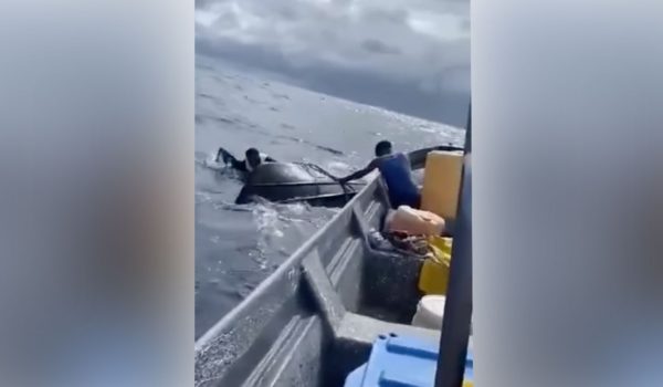 Encuentran volcada lancha en la que desaparecieron migrantes que iban hacia Corn Island