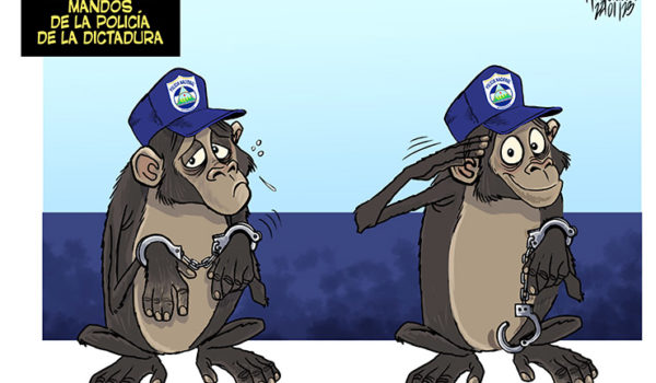 Caricatura 22-01-23