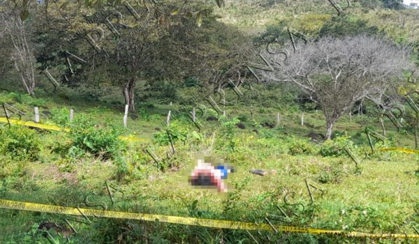 Mujer es asesinada en un potrero en Cárdenas