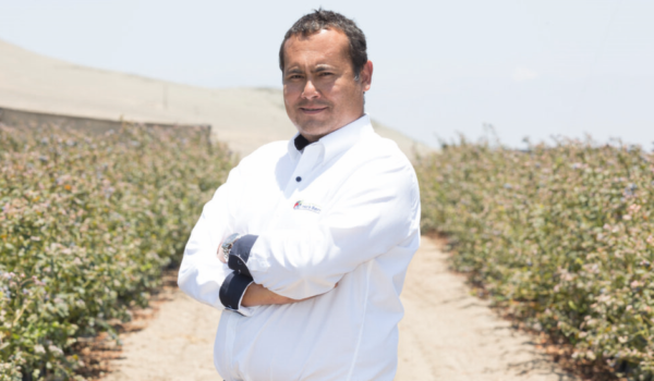 El hombre que convirtió a Perú en el mayor exportador de una fruta que apenas existía en el país