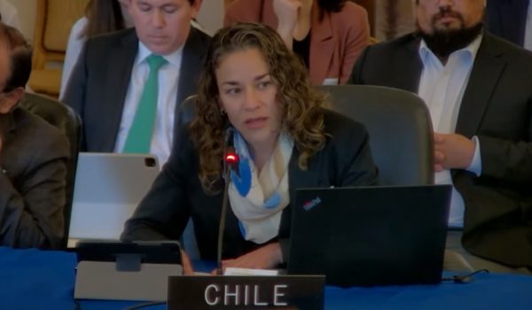 «Actúen por una transición democrática en mi país». El llamado de Tamara Dávila a los países de América en la OEA