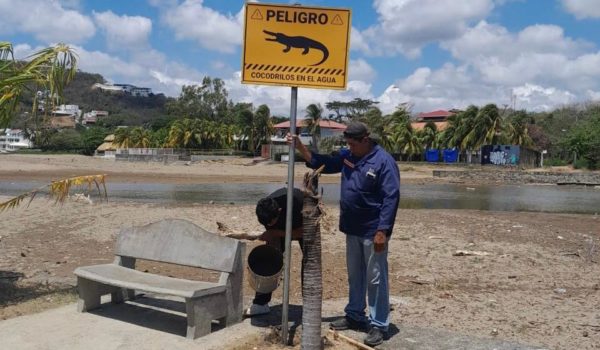 Advertencia: alertan presencia de cocodrilos en San Juan del Sur