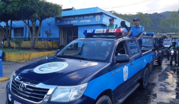Policía busca al hombre que cortaba árbol que cayó sobre niña de 10 años y la mató