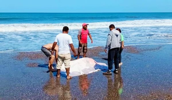 Recuperan cadáver de joven que se ahogó en playa San Diego