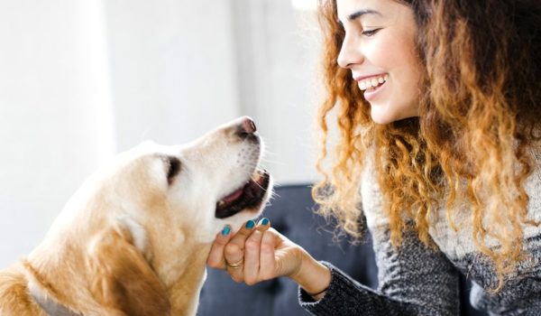 Getty Images Con algunas medidas básicas, es posible reducir significativamente el riesgo de contraer una enfermedad por el contacto con las mascotas.