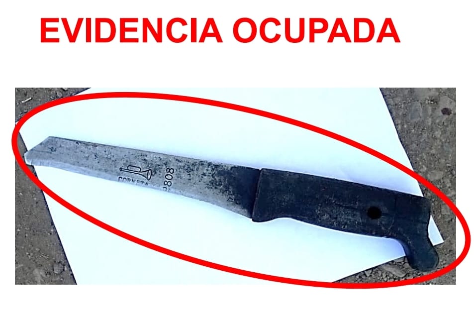 Este el arma  con que Bayardo Obando mató a su pareja, María Auxiliadora Jiménez. LA PRENSA/Policía.