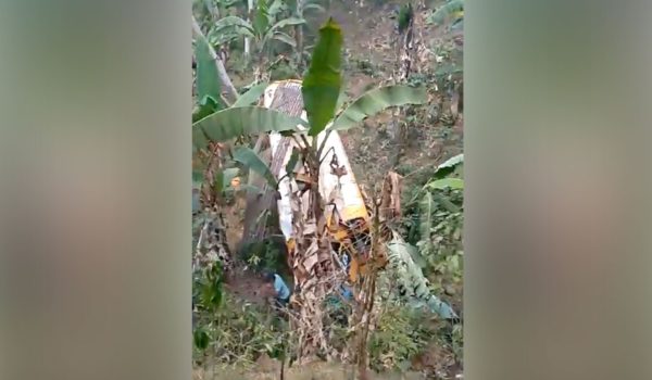 Aumentan a cuatro los fallecidos por picaduras de abejas en accidente de autobús