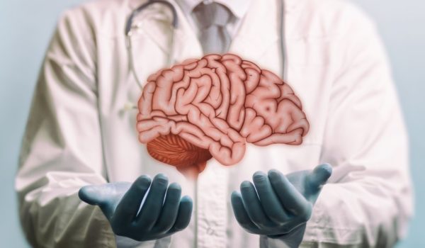 Por qué no se puede trasplantar el cerebro (y cuáles han sido los experimentos para hacerlo)