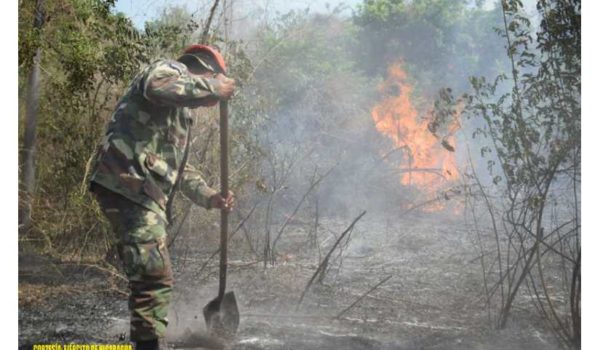 «Con palas y agua se enfrentan al fuego». Nicaragua sigue usando métodos rústicos para enfrentar incendios forestales