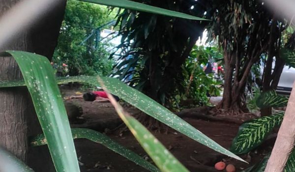 Hijo único de ganadera asesinada en Managua es buscado por la Policía como sospechoso del crimen