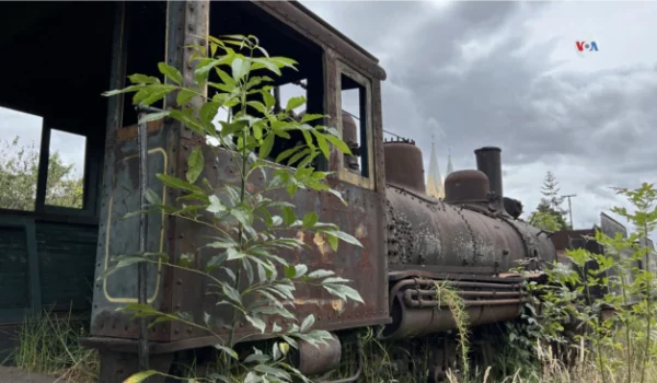 El tren, el medio de transporte olvidado en Colombia. [Foto: Sergio Leon/ Pixammo]