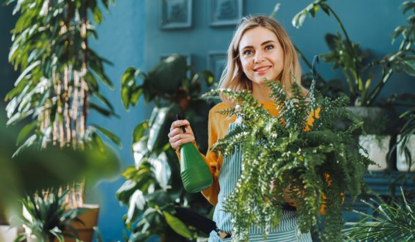 Getty Images Las plantas también sirven para decorar un espacio interior.