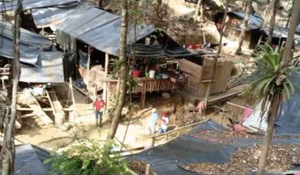 Minería ilegal devora la Reserva Indio Maíz con complicidad de la dictadura