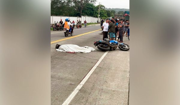 Ocho fallecidos en accidentes de tránsito durante el fin de semana