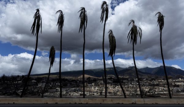 Autoridades elevan a 106 el número de fallecidos en los incendios en Maui
