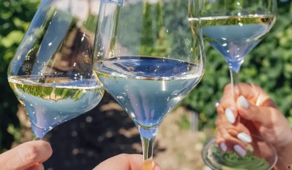 Tres personas brindan con vino espumoso