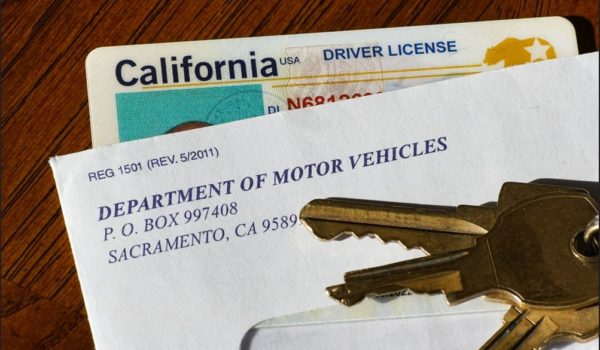 Cuáles son los estados en EE.UU. que permiten tener licencia de conducir sin tener papeles 