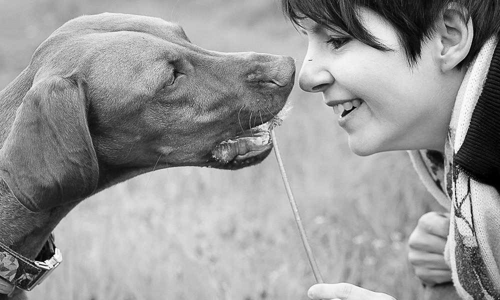 Los perros saben cuándo les hablan, y quizá prefieran las voces femeninas