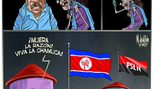 Caricatura domingo