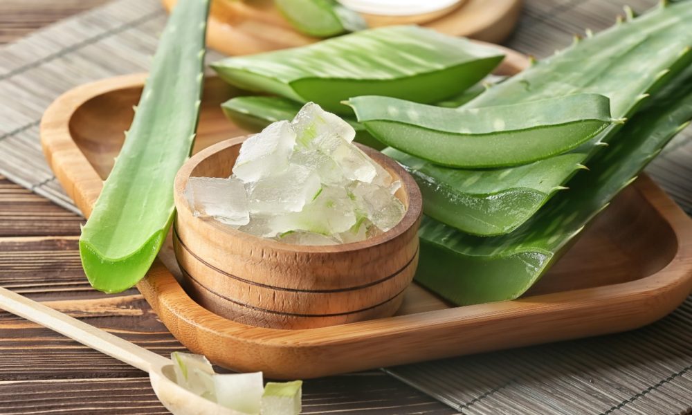 ¿Podría el aloe ser también un insecticida?