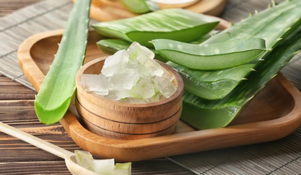 ¿Podría el aloe ser también un insecticida?