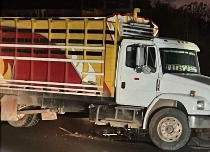 Este es el camión que conducía Víctor López Veliz. LA PRENSA/ Redes sociales