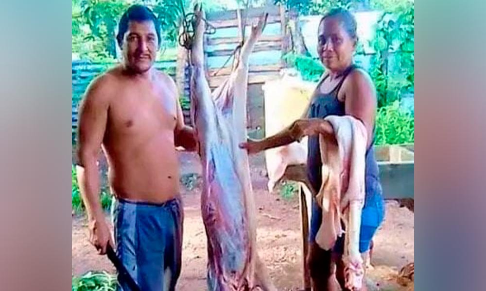 Noel Guzmán y su pareja Angela Cortes, inculpados por asesinato. LA PRENSA/ Tomada de Facebook