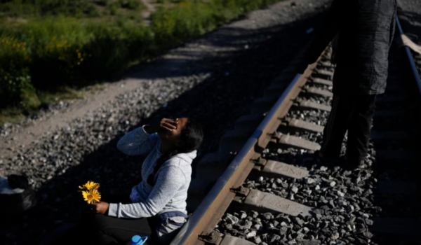 trenes de México