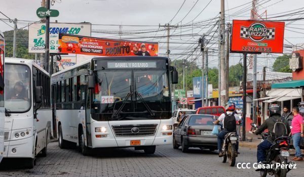 buses chinos