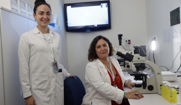 El parásito microscópico que causa gastroenteritis y podría evitarse con control rutinario