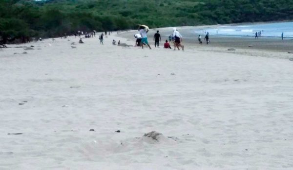 Sangriento enfrentamiento entre policías y saqueadores de huevos de tortuga en El Ostional