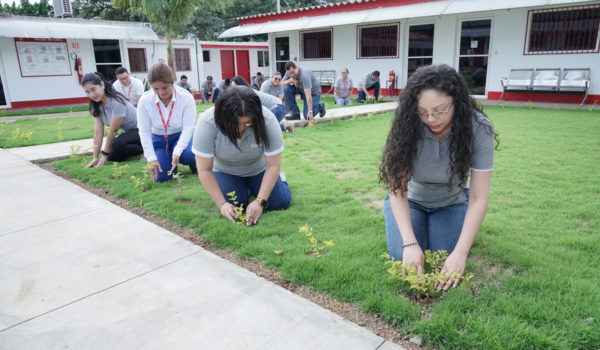 Claro realiza jornada de reforestación en sus instalaciones