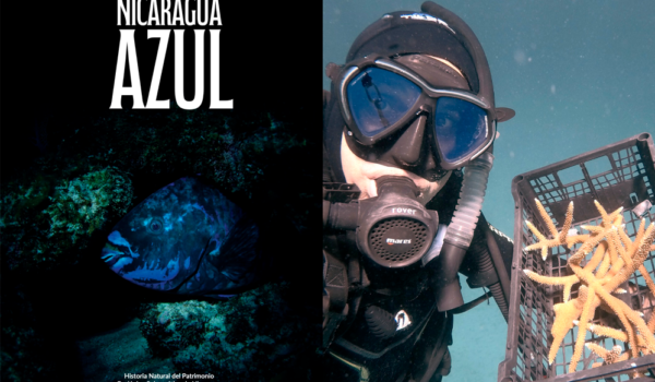 Fabio Buitrago lanza campaña para financiar libro sobre la biología marina de Nicaragua