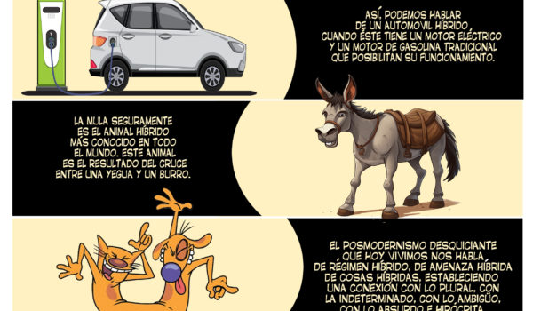 caricatura 19-11-23