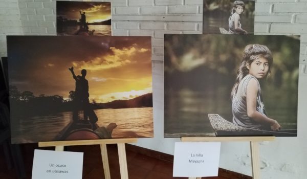 “Grito por los bosques”, una jornada de denuncia por Indio Maíz y Bosawas desde Costa Rica