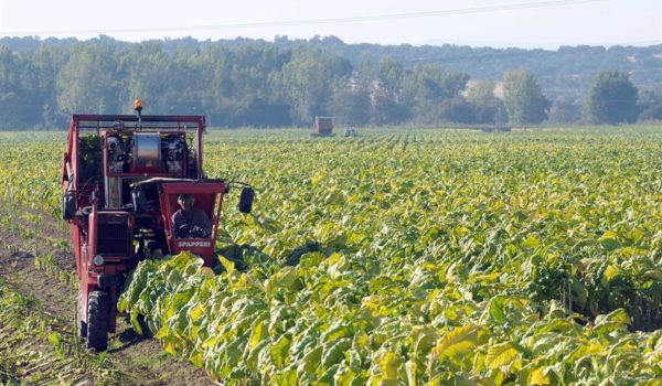 Brasil espera exportar 92.000 millones de dólares con proyectos de agronegocio