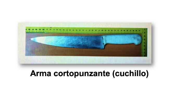 Este es el cuchillo con el cual  le fue quitada la vida a  Steven Pérez, LA PRENSA/ Policía.