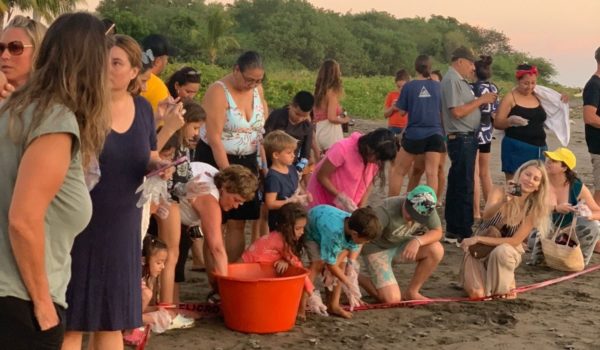 La increíble experiencia de liberar tortuguillos en una playa de Nicaragua
