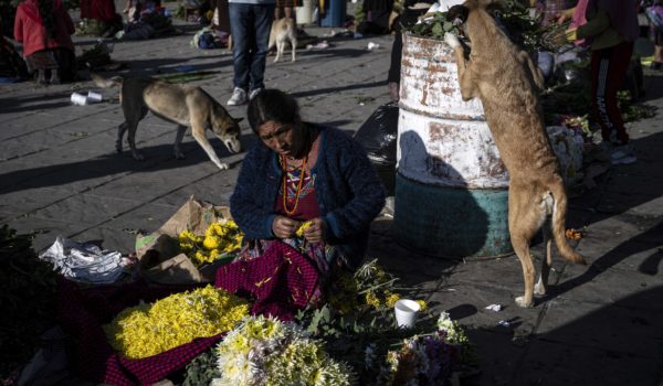 Galería | Resistencia indígena en Guatemala