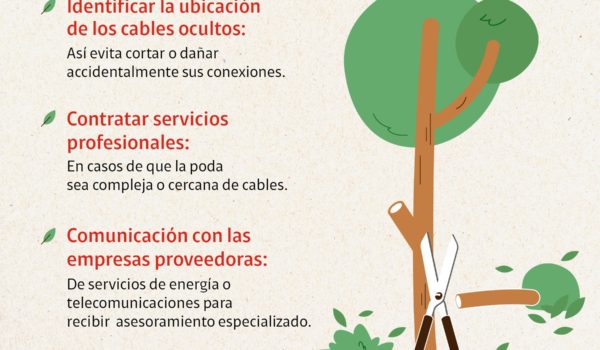 Claro Nicaragua promueve poda responsable