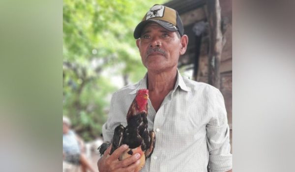 Ladrón asesina en Granada a vigilante de la tercera edad