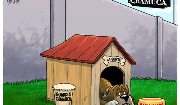 Caricatura 26-02-24